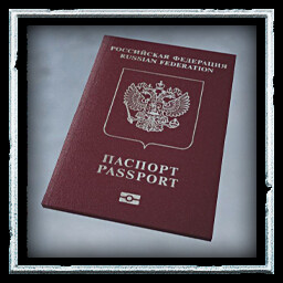 Passport Panic icon