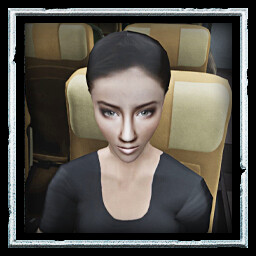 Online in the Sky icon