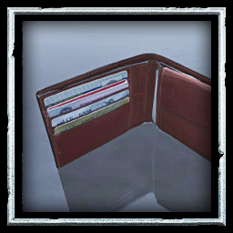 Where’s My Money? icon