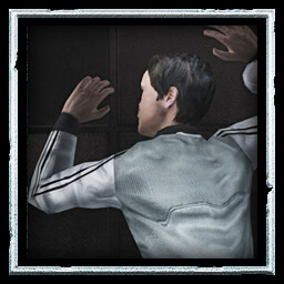 Hero of the Flight icon