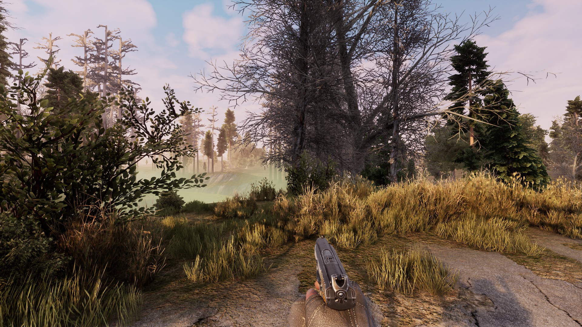 Will To Live Online Screenshot 10