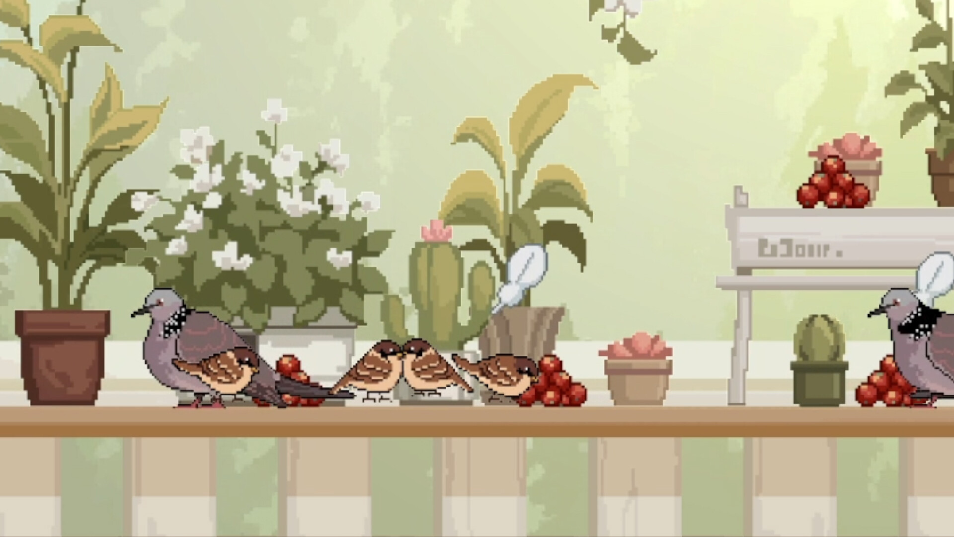 Birdwatching Notebook Screenshot 2