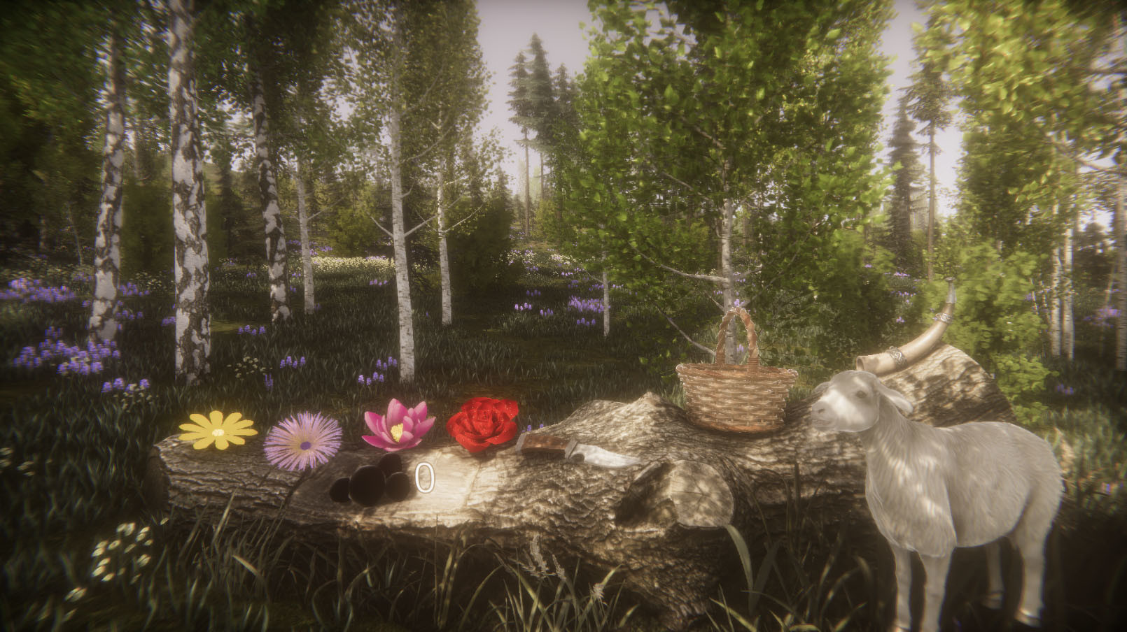 Flower Challenge Screenshot 0