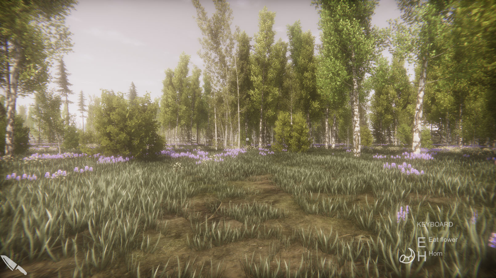 Flower Challenge Screenshot 9