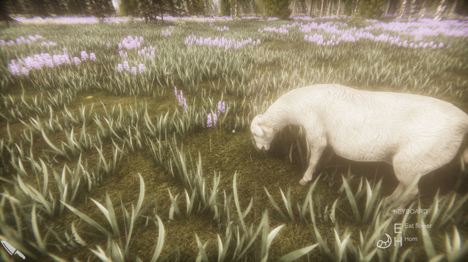 Flower Challenge Screenshot 5