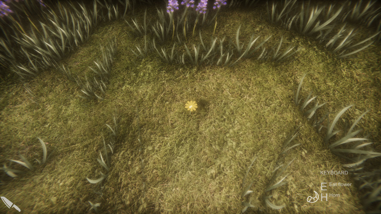 Flower Challenge Screenshot 8