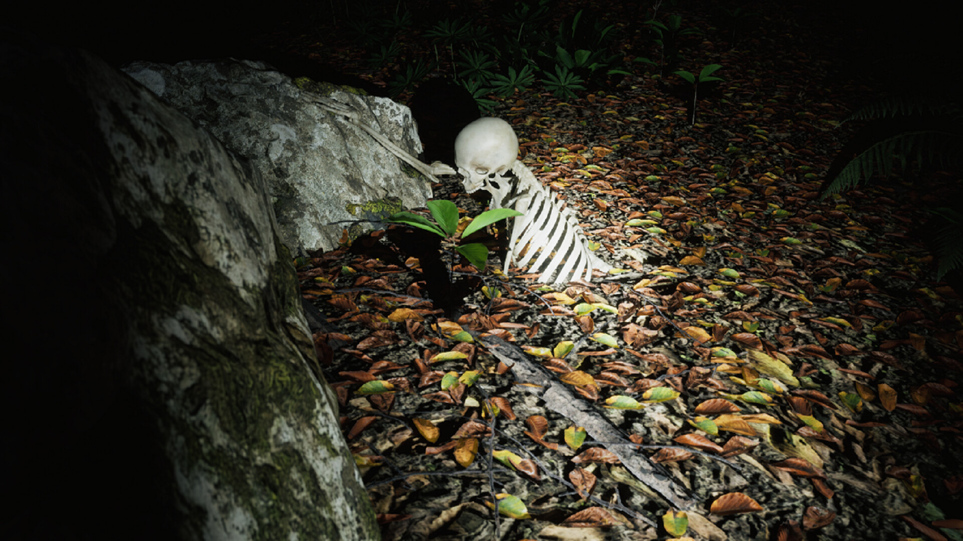 Skinwoods: The Full Cut Screenshot 1