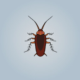 Bugs Bugs Bugs icon