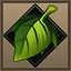Novice Botanist icon