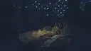 Shelter Screenshot 6