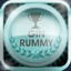 Gin Rummy Champion icon
