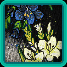 Day Night Cycle icon