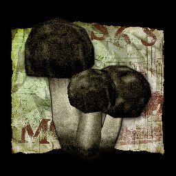 Fungus Among Us icon