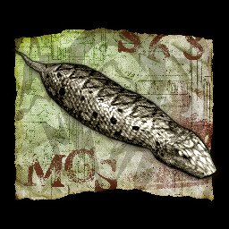 Believe It or Not icon