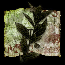 Just What the Doctor Ordered icon