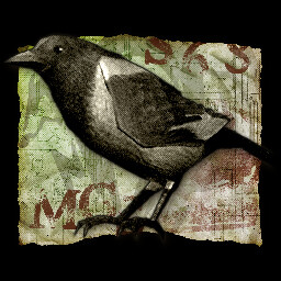 A Bird in the Hand... icon