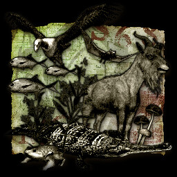 King of the Jungle icon