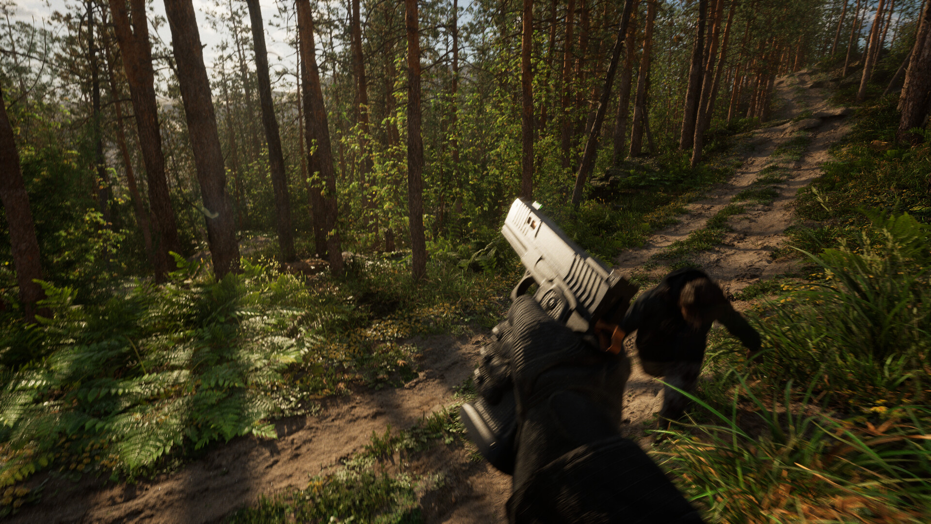 DECAYED Screenshot 4