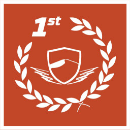 DESERT WINGS Winner icon