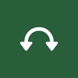 UNDO icon