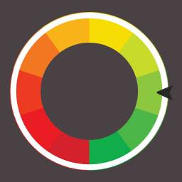 COLOR icon