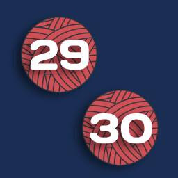 LEVEL 29 AND 30 icon