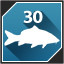 Common Carp icon