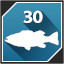 Smallmouth Bass icon