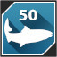 Salmon icon