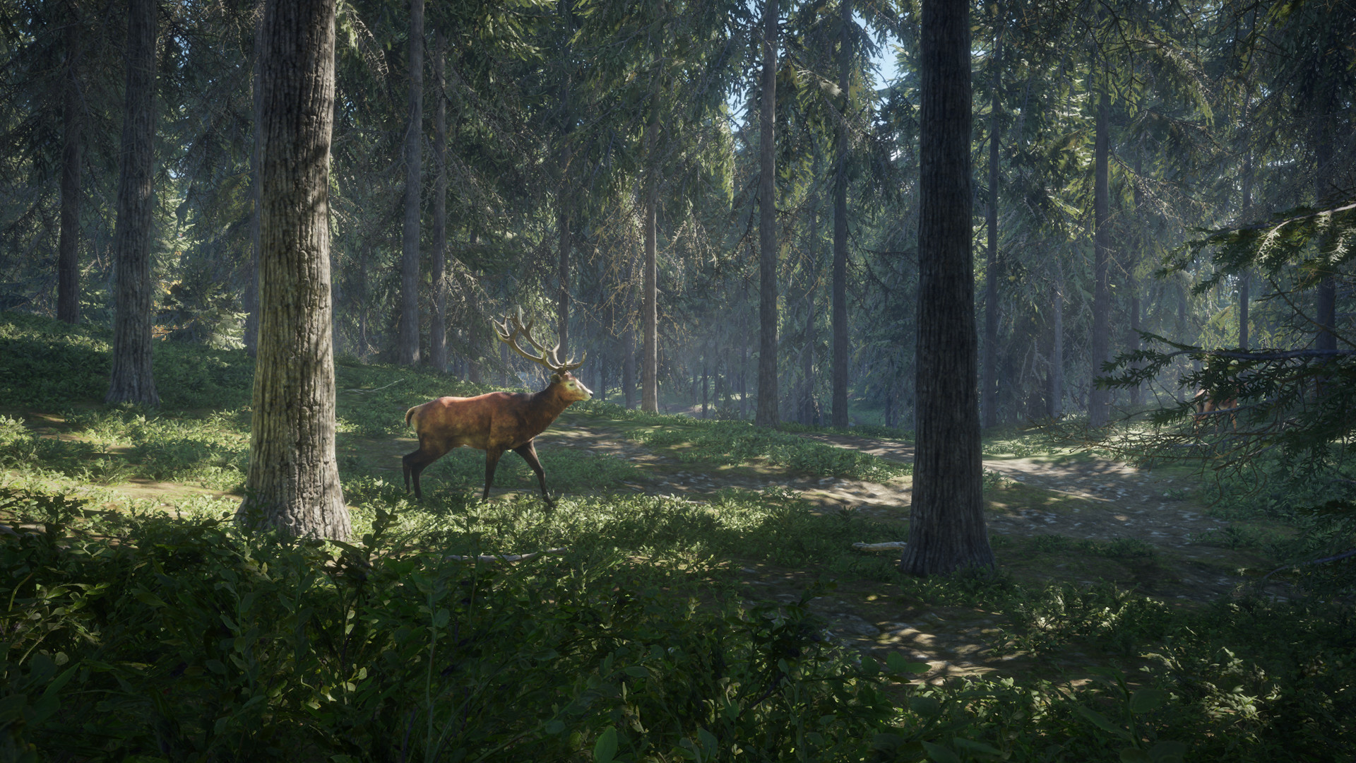 theHunter: Call of the Wild™ Screenshot 16