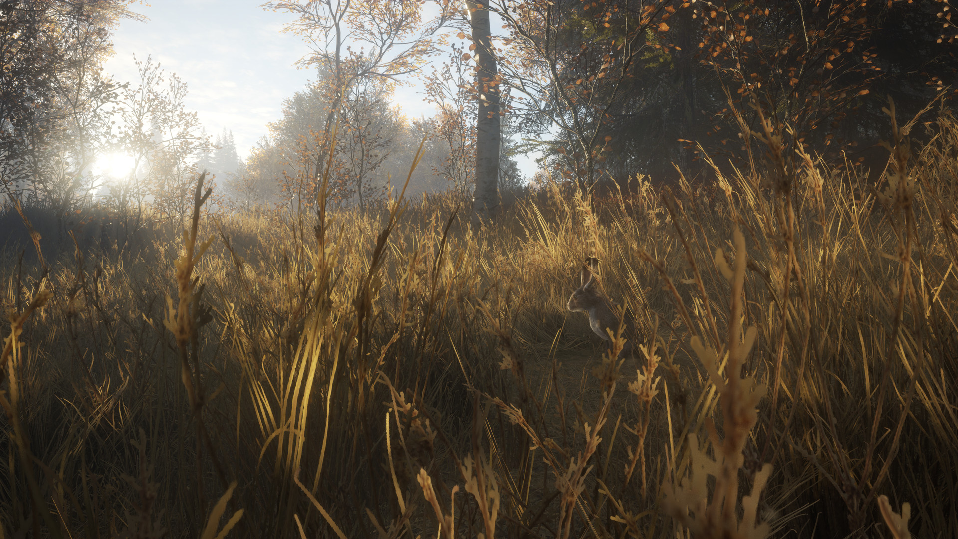 theHunter: Call of the Wild™ Screenshot 6