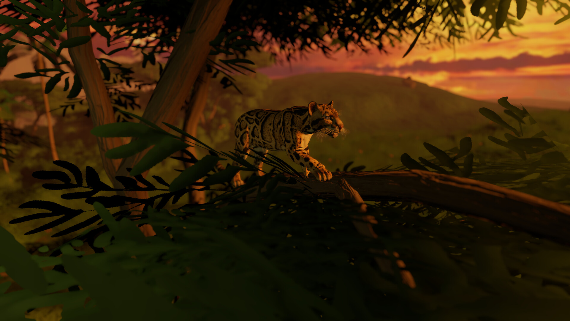 The Great Indian Safari Screenshot 7
