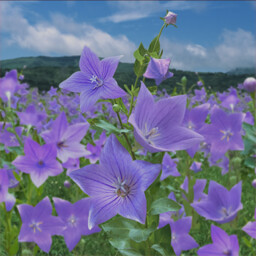 「三日月島事件の真相編」クリア icon