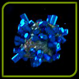 Blue Gold icon