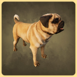 Pug icon