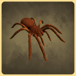 Goliath Spider icon