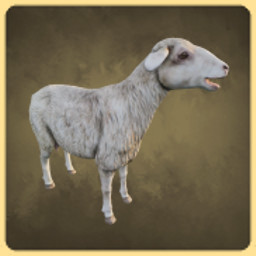 Sheep icon