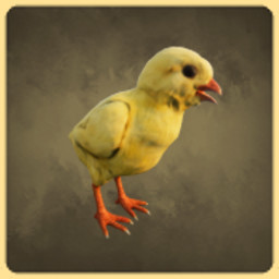 Chick icon