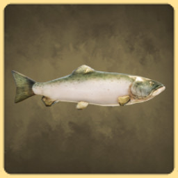 Salmon icon