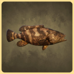 Goliath Grouper icon