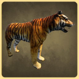 Tiger icon