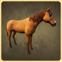 Horse icon