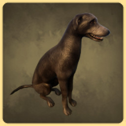 Wolfhound icon