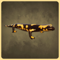 Fire Salmander icon