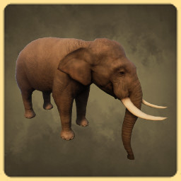 Asian Elephant icon
