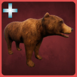 Bear icon