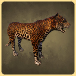 Leopard icon