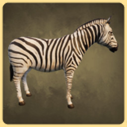 Zebra icon
