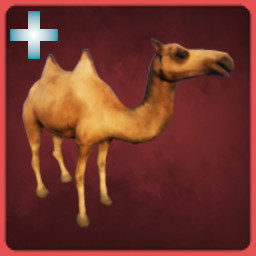 Camel icon
