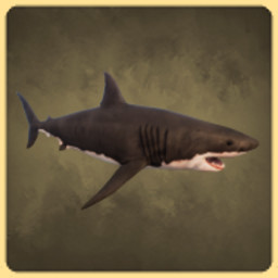 Shark icon